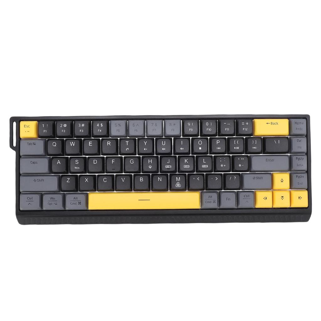 Wired Computer Keyboard Quiet Anti Ghosting RGB Backlit Slim 68 Keys Keyboard Scissor for Work Gaming