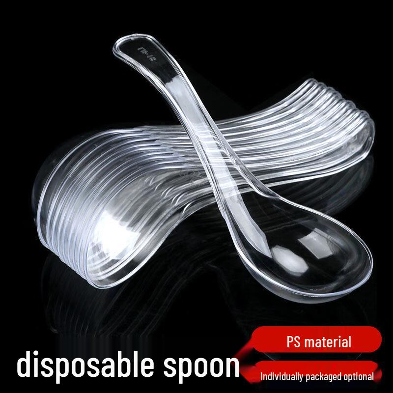 ZISIZ Individually Wrapped Disposable Plastic Spoons
