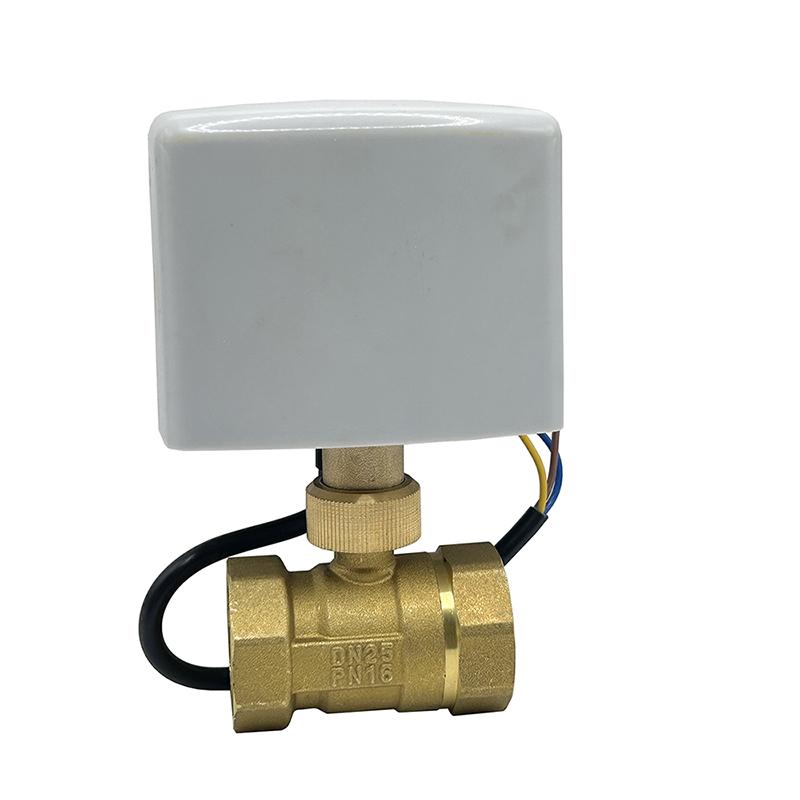 1/2" 3/4" 1" 1-1/4" 2" Motorisierter Kugelhahn 12V 24V 220V 3-Draht 2-Steuerung Elektrische Kugelhähne Wasserhahn