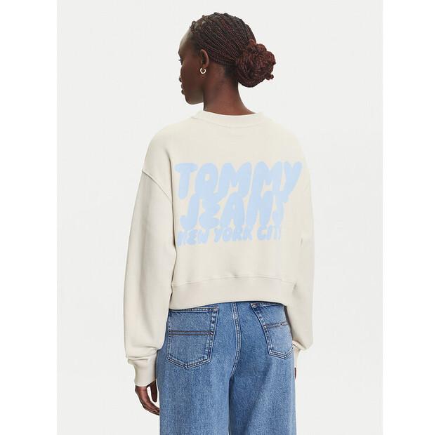 Толстовка Tommy Jeans DW0DW21345
