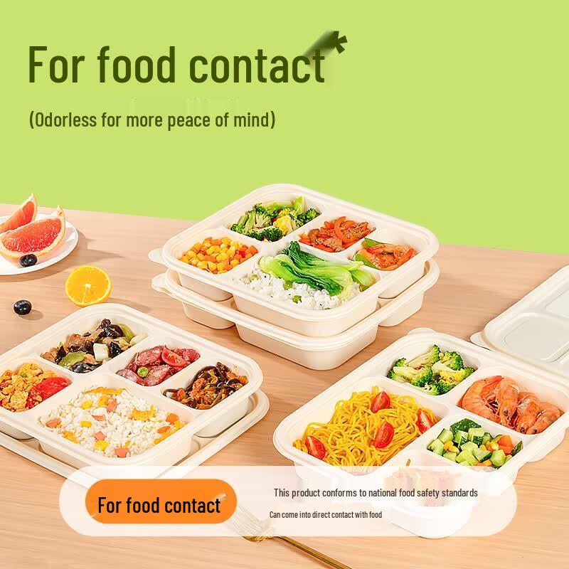 Eco-Friendly Biodegradable Compartment Meal Boxes with Lids