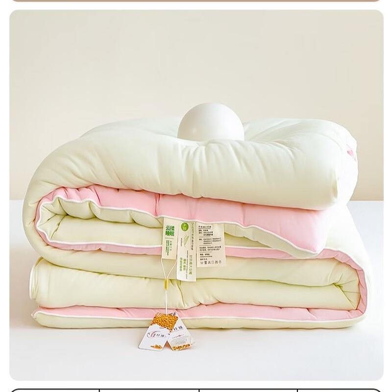 

Oeny Cloud Soft Four-Season Duvet Insert