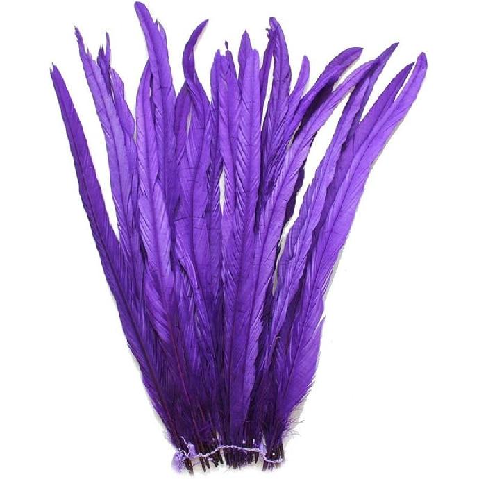 Nature Rooster Coque Tails Feathers Costume Craft Decoration 12-14inch Pack of 25 (black)