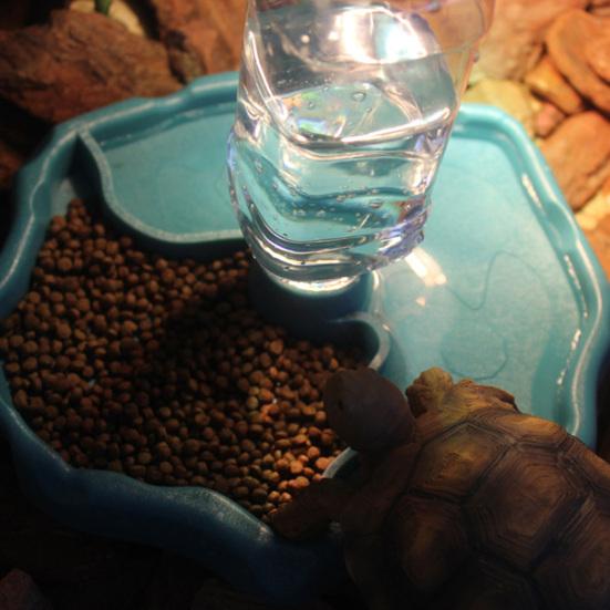 Reptilien-Wasserspender, abnehmbare Struktur, Mehrzweck-Futterspender aus Kunststoff, automatischer Wasserbrunnen für Schildkröten, Bartagamen