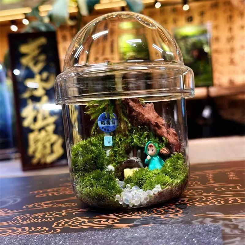 Micro Landscape Moss Glass Bottles Small Glass Ecological Bottle Green Plant Glass Terrarium Fun Plant Container Desktop Decor
