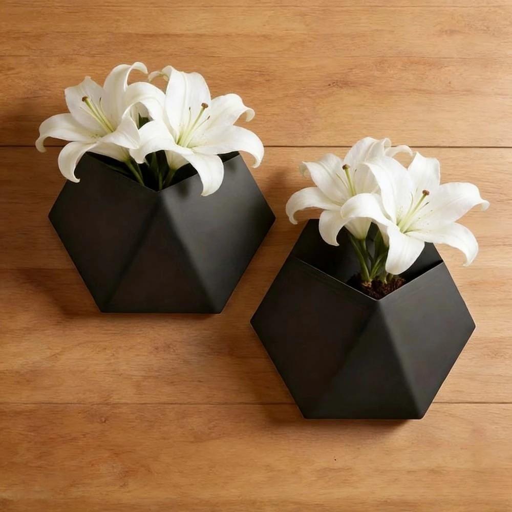 Wall-Mounted Hexagonal Flower Pot Geometric Growing Pots Wall Hanging Planter  Indoor Plants