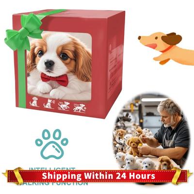 Köpek – Köpek oyuncakları