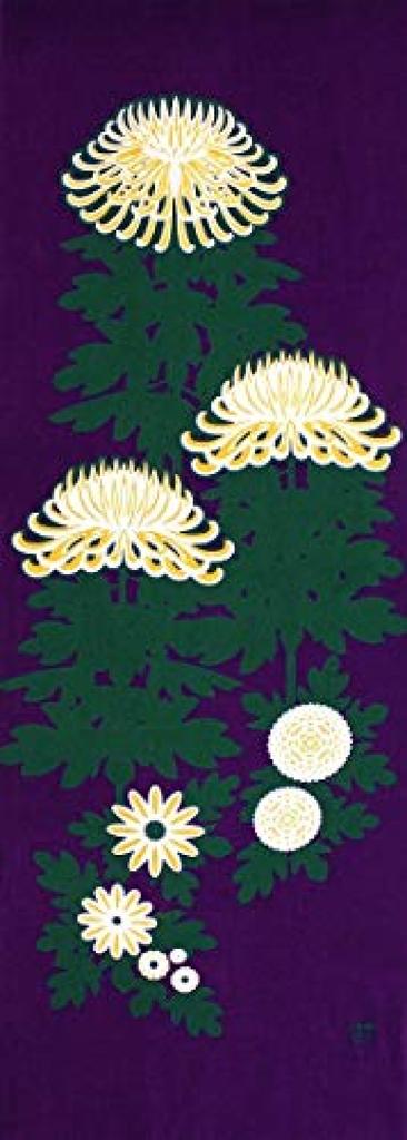 Färben Anbo Tenugui Echtes gefärbtes Baumwoll-Tokuoka Hergestellt in Japan 35cm x 100cm "KIKU Lila" 100%