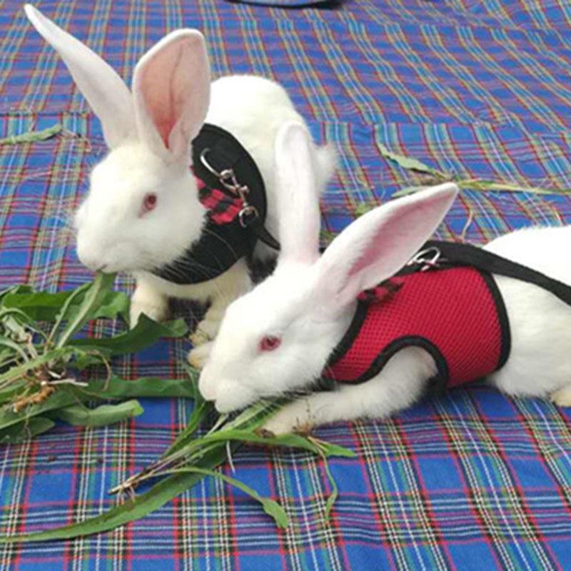 Pet Lead Rabbit Mesh Vest Animal Soft Small Leash Harness for Hamster ...
