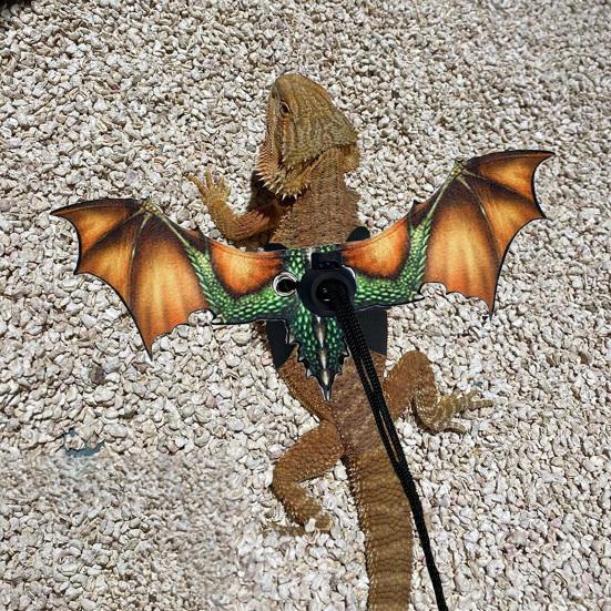 Lizard Leash Anti-Bite Wings Fleksibel Komfortabel skjeggete Drage Sele Kjæledyrsutstyr