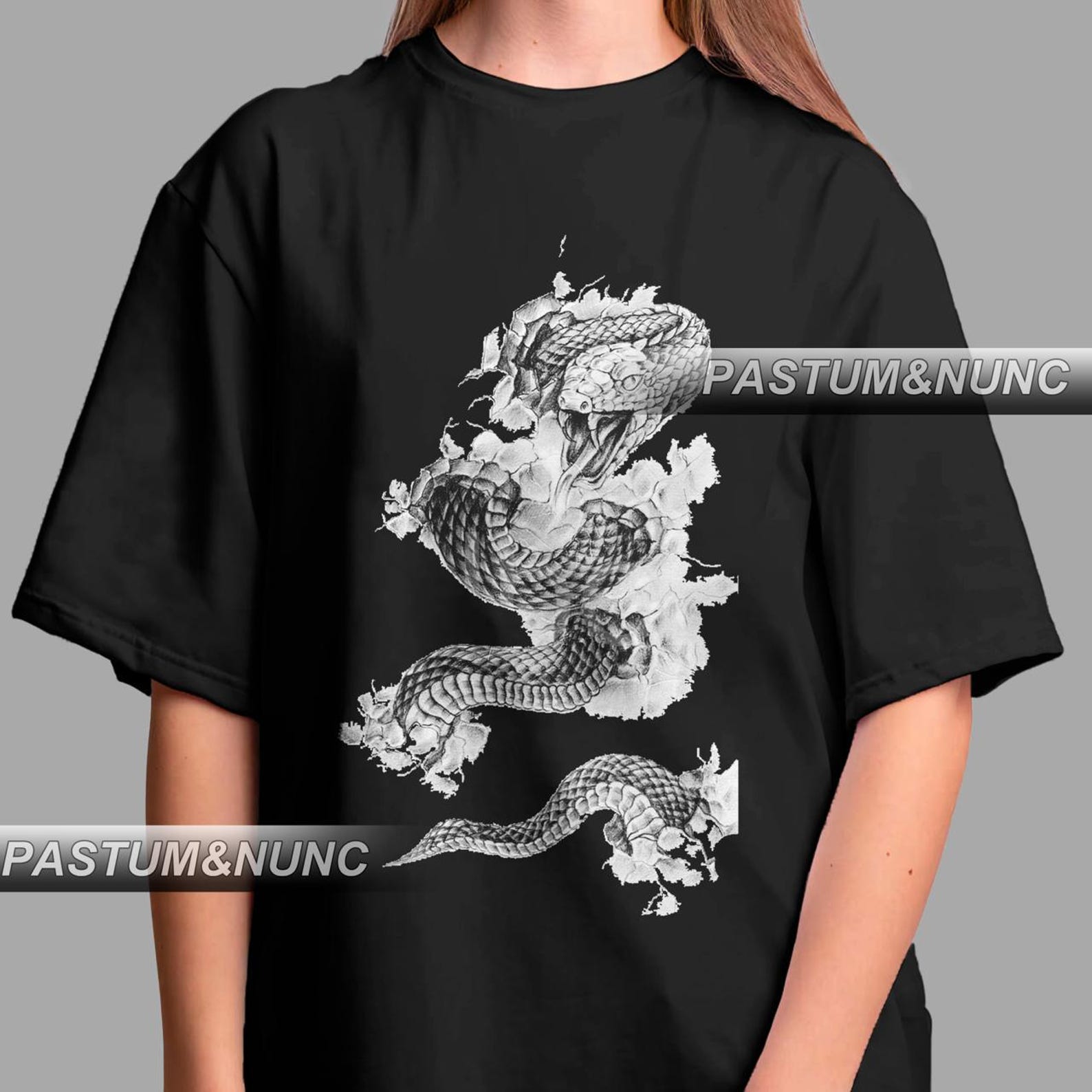 Hissing Snake PNG Design | svg png dxf eps pdf | vector High-Quality PNGs, Fantasy Art, Animal Print Clipart, DIY Graphic for T-Shirt XL