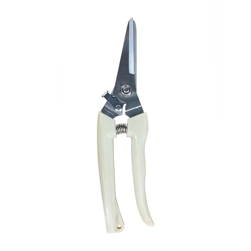 Stainless Steel Pruning Shears: Garden Scissors for Branches, Fruits, Flowers, and Grafting