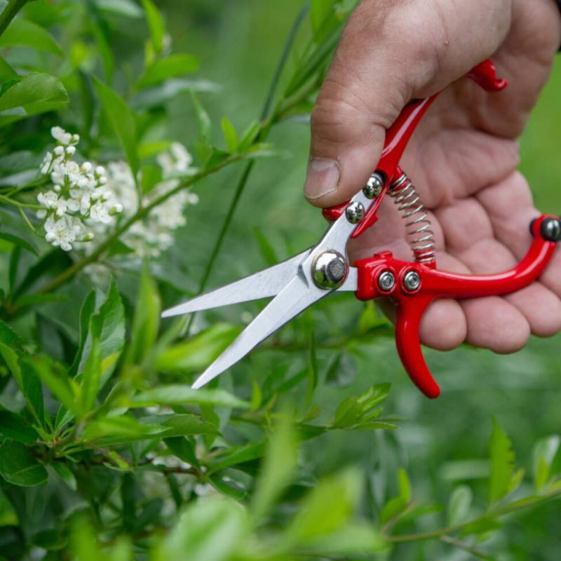 Garden Pruning Shears With Chrome Vanadium Steel Blade For Home Gardening And Floral Cutting