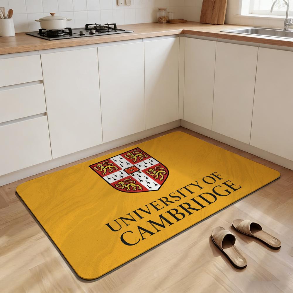 University C-Cambridge Floor Mat Non-slip Quick-dry Diatomaceous Earth Bath Mat, Absorbent Doormat
