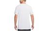 Nike T Shirts Men's White Crew Neck Moderate Straight Fit FN6028-100