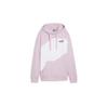 Puma Hoodie 677893