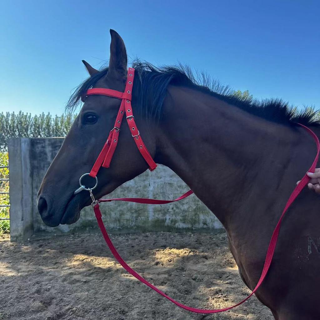 Horse Bridle Rein Nylon Stylish Adjustable Horse Bridle Headstall Equestrian Rein Red L( For Horses with Shoulder Height of 1.3 Meters and Above )