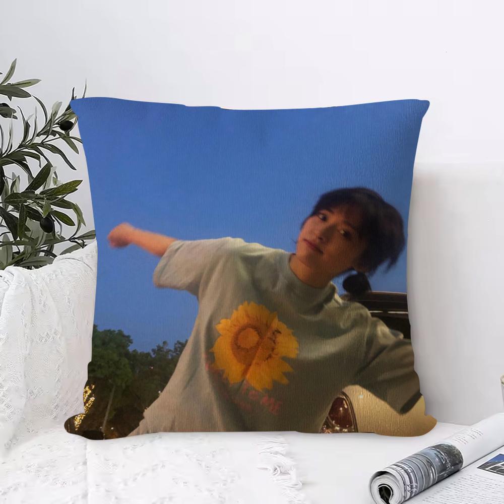 Cushion Cover Anti-dustmite Pillowcase Invisible Zipper Silky Short Plush Sofa Cushion Cover Simple Black And White Abstract