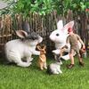 Oenux Lovely Farm Rabbit Bunny Model Action Figure Figurine Wild Desert Cottontail Hare Cute PVC Decoration Education Kid Toy