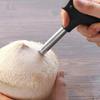 Stainless Steel Coconut Opener Tools Wooden Handle Coconut Puncher  Fruit Opening