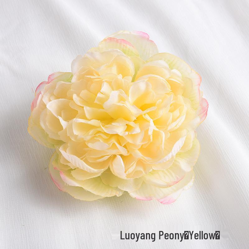 Modern Simple Flower Curtain Tiebacks – Window Decoration Accessories