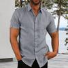 Men Button Down Shirt Short Sleeve Turndown Collar Shirt Summer Beach Shirt with Chest Pocket for Street Tropical Vacation Holiday