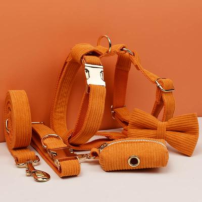 Köpek – Köpek Tasmaları ve Tasma Kayışları