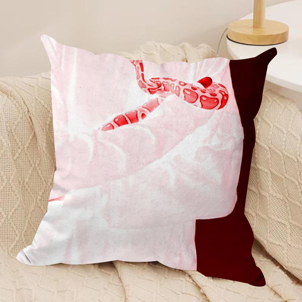 Band S-Sir Chloe Cushion Cover Soft Plush Fabric Double-Sided Printed Sofa Cushion Cover for All Seasons Home Decor Gift