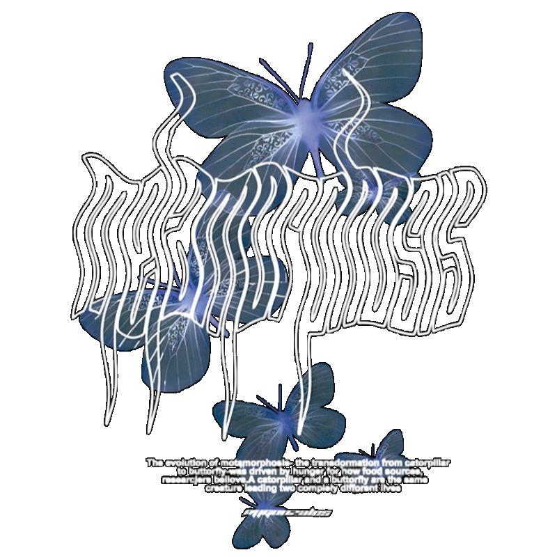 Damen Lockeres T-Shirt Schwarzer Schmetterlingsdruck Und Textdesign Freizeitkleidung Für Den Täglichen Gebrauch