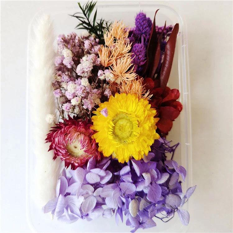 Kit DIY Fleur Éternelle: Cadre photo de fleurs séchées, éventail rond, bouteille flottante, composition florale réelle pour la décoration du salon ou de la maternelle.