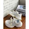 Hot Summer New Breathable Versatile Sports Shoes Heightened Platform Dad Shoes 2688