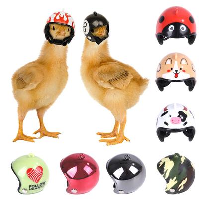 Chicken Helmet for Pet Funny Parrot Bird Hat Headwear Small Hard Costumes Accessories for Chickens Birds Parakeet