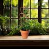 Easy Install Plant Stand Wood Bracket Leaf Shape Trellis Vine Healthy Growth Support Installation Multifunctional Holder