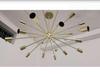 24 Light Elegant Ceiling Down Rod Pendant Mid Century Modern Raw Brass Sputnik chandelier light Fixture