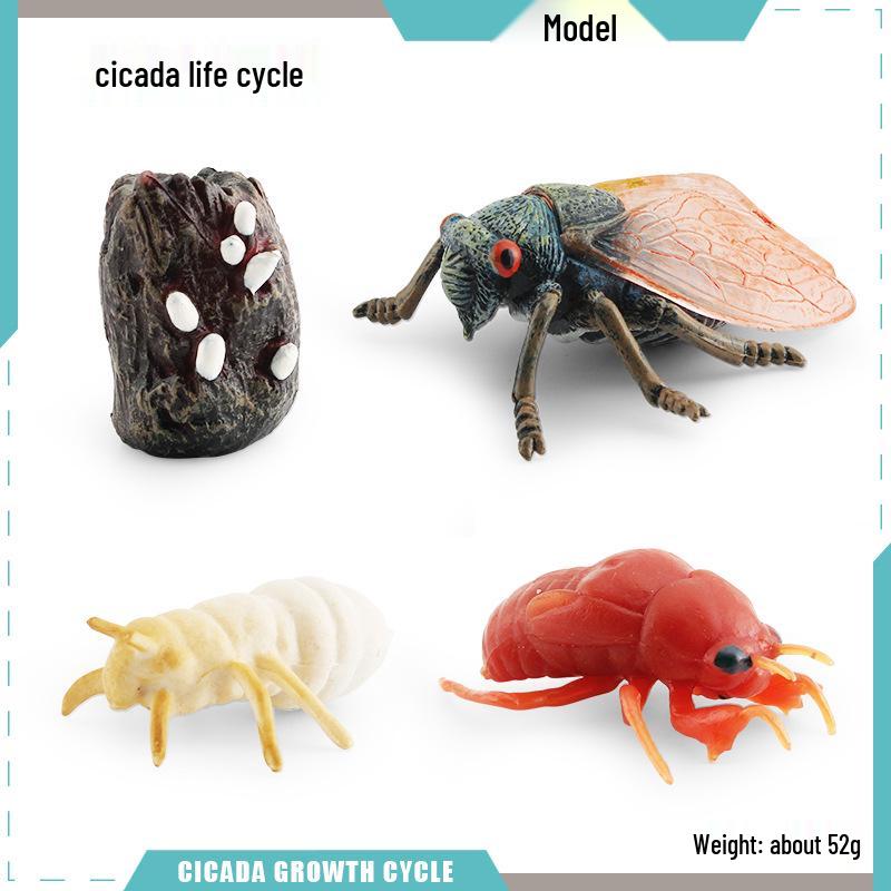 Animal Growth Cycle Models: Chicken, Duck, Goose, Butterfly, Turtle, Frog Montessori Teaching Figurines