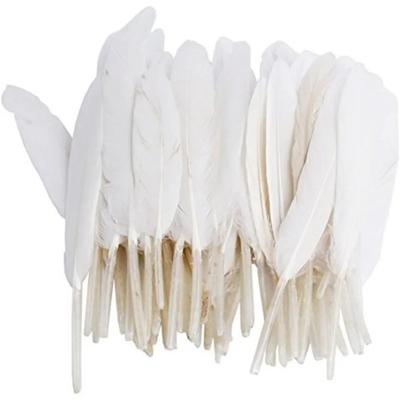 Novità Piume d'oca naturali 50 pezzi Piumette Piuma bianca Piuma per Artigianato Fai da te Festa Decorazione Gioielli Decorazione Casa 2025