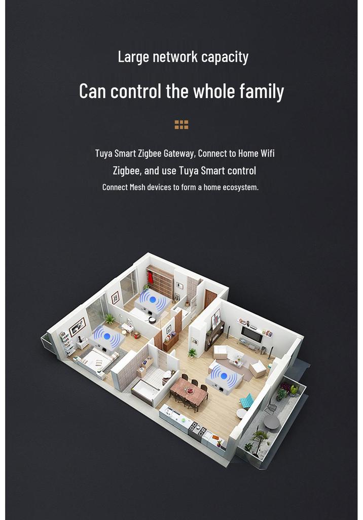 Graffiti Zigbee Smart Home Voice Control Hub with Alexa & Google Integration