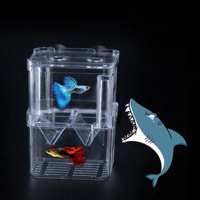 Vissen en zeedieren – Aquaria
