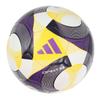 Adidas Connect 25 Competition No. 5 Ball Soccer Ball Certification Ball ADF501CO