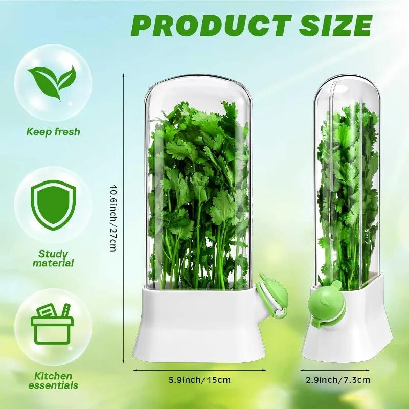 1-2Pcs Herb Keeper and Herb Saver – Glass Storage Container for Cilantro,Parsley,Mint,Asparagus,Keeps Greens Fresh for 2-3 Weeks