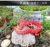 30Cm 3D Printed Conjoined Dragon Ornaments, Movable Cartoon, Creative Dragon Plants, Rockery, Fish Tank Landscaping Decoration
