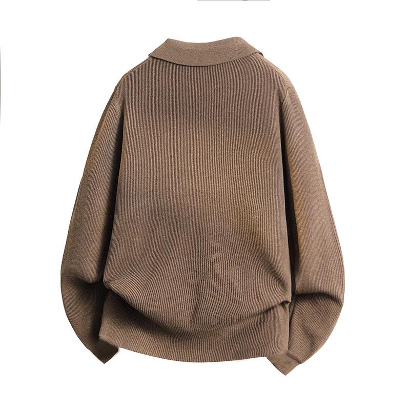 Strickjacke mit Umlegekragen für Herren, Frühling und Herbst, Koreanischer Stil, minimalistischer Hoodie für Herren, Freizeitjacke, Strickjacke