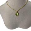 Elegant 2025 Gold Titanium Steel Clavicle Necklace for Women – Non-Fading, Light Luxury, Versatile, and Fashionable.