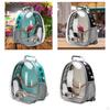 Backpack And Standing Perch for Cockatiels Finches