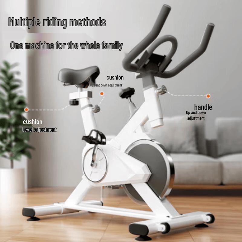 Ledeway K200 Spinning Bike CN plug (adapter included)