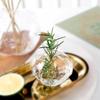Creative Red Glass Pomegranate Flower Dining Table Vase Table Top Ornament Hydroponic Plant Vase Flower Arrangement Container
