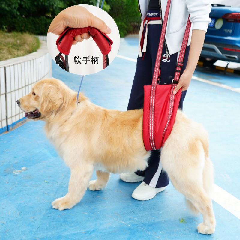 Köpek Arka Bacak Destek Koşumu Yaşlı veya Yaralı Köpekler İçin Ayarlanabilir Hareketlilik Yardımcısı Küçük Orta Büyük Irklar