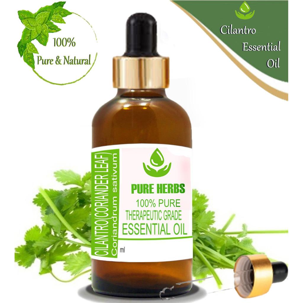 Pure Herbs Cilantro Coriander leaf 100% Coriandrum Sativum Essential Oil ZA 290