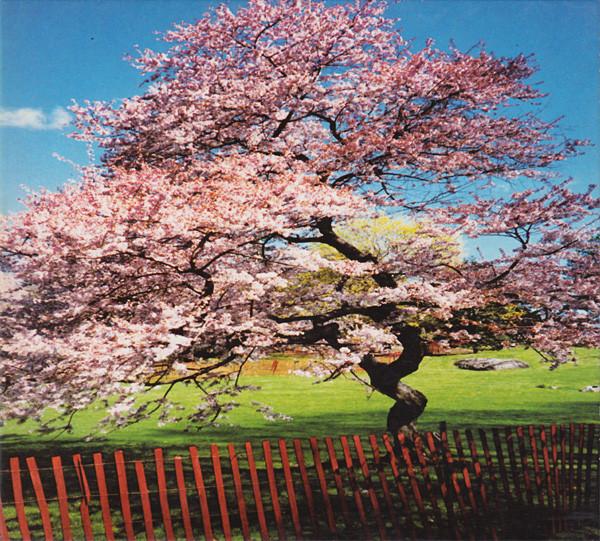 

CD REMINISCENT DRIVE Mercy Street 137007120 F COMMUNICATION 1997 France Dance Electronica Used