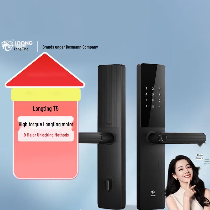 Умный дверной замок DESMAN Longting T5 с отпечатком пальца